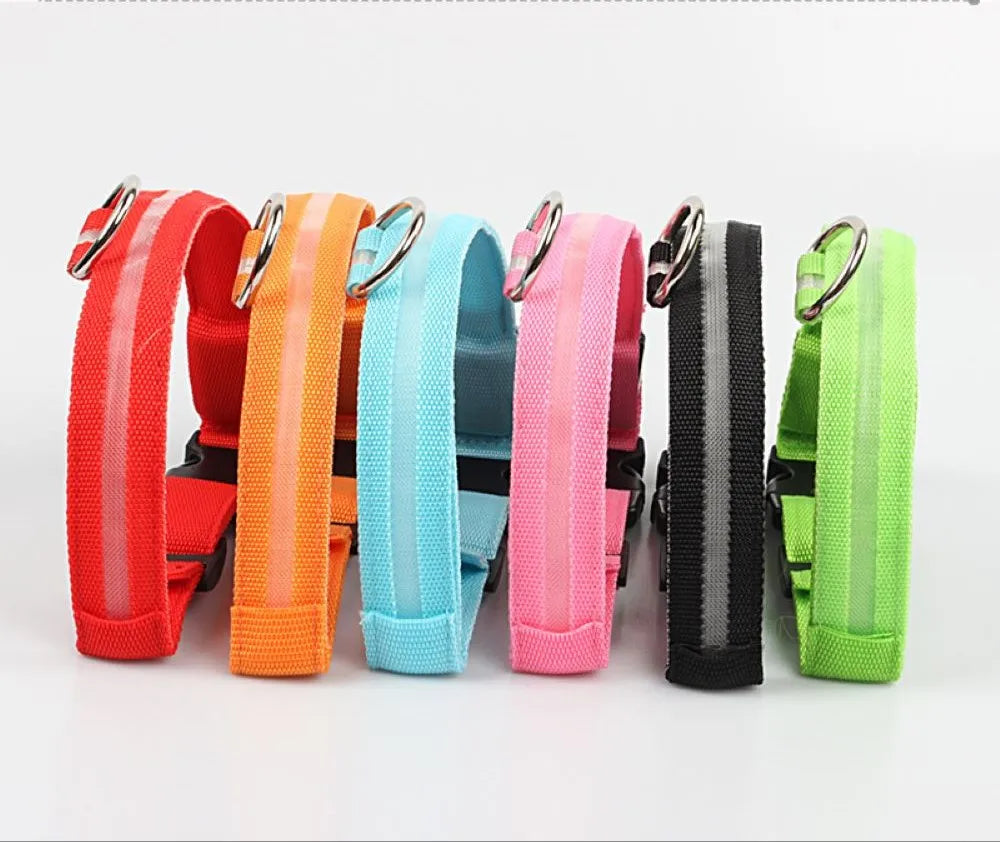 Night Safety Flashing Glow In The Dark Dog Collar