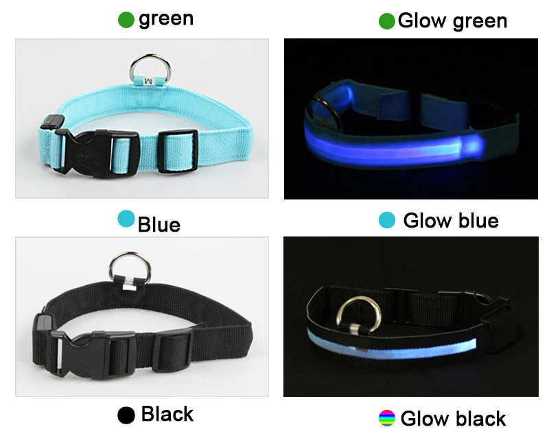 Night Safety Flashing Glow In The Dark Dog Collar
