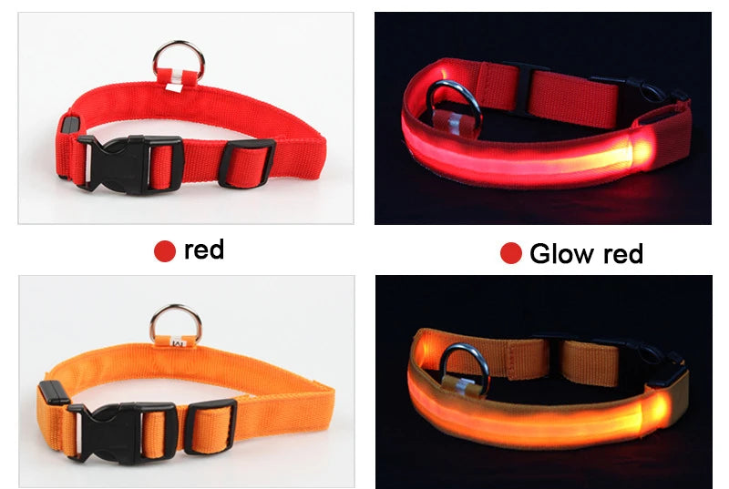 Night Safety Flashing Glow In The Dark Dog Collar