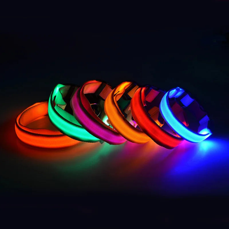 Night Safety Flashing Glow In The Dark Dog Collar