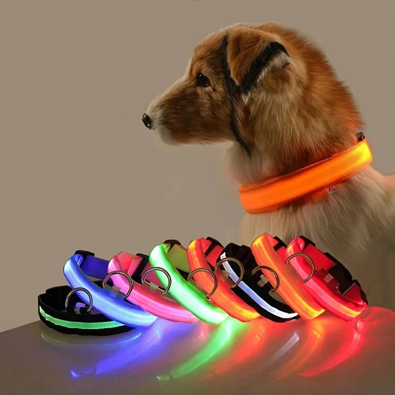 Night Safety Flashing Glow In The Dark Dog Collar