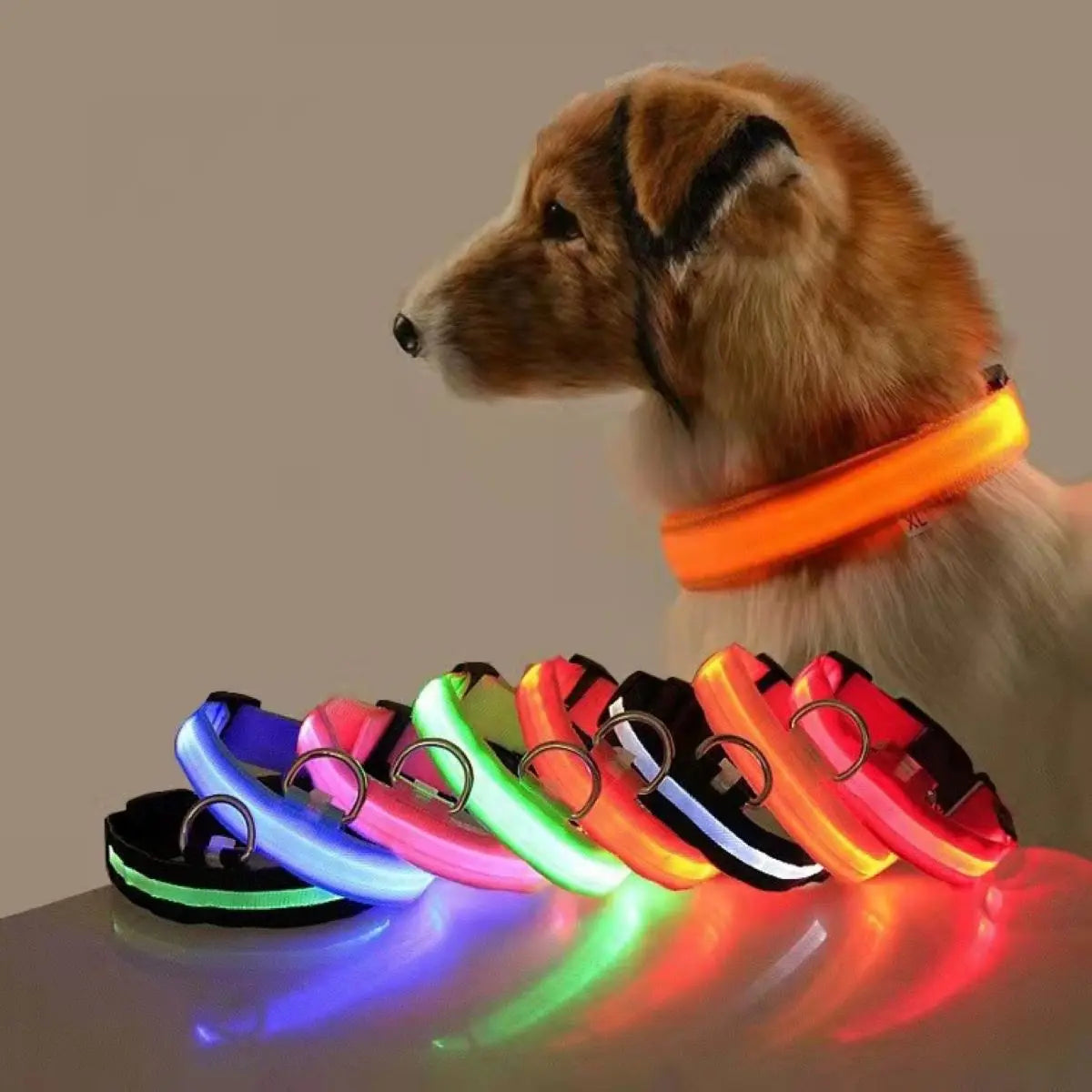 Night Safety Flashing Glow In The Dark Dog Collar