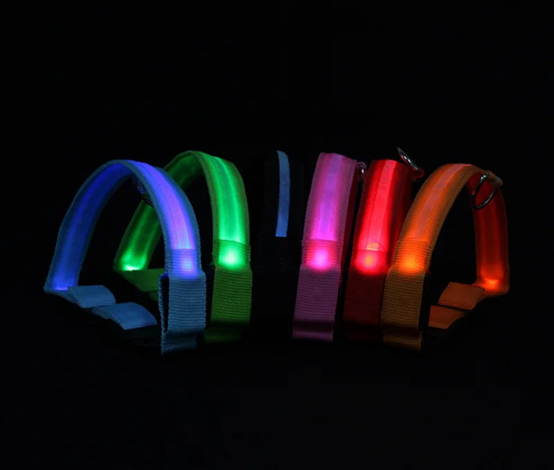 Night Safety Flashing Glow In The Dark Dog Collar