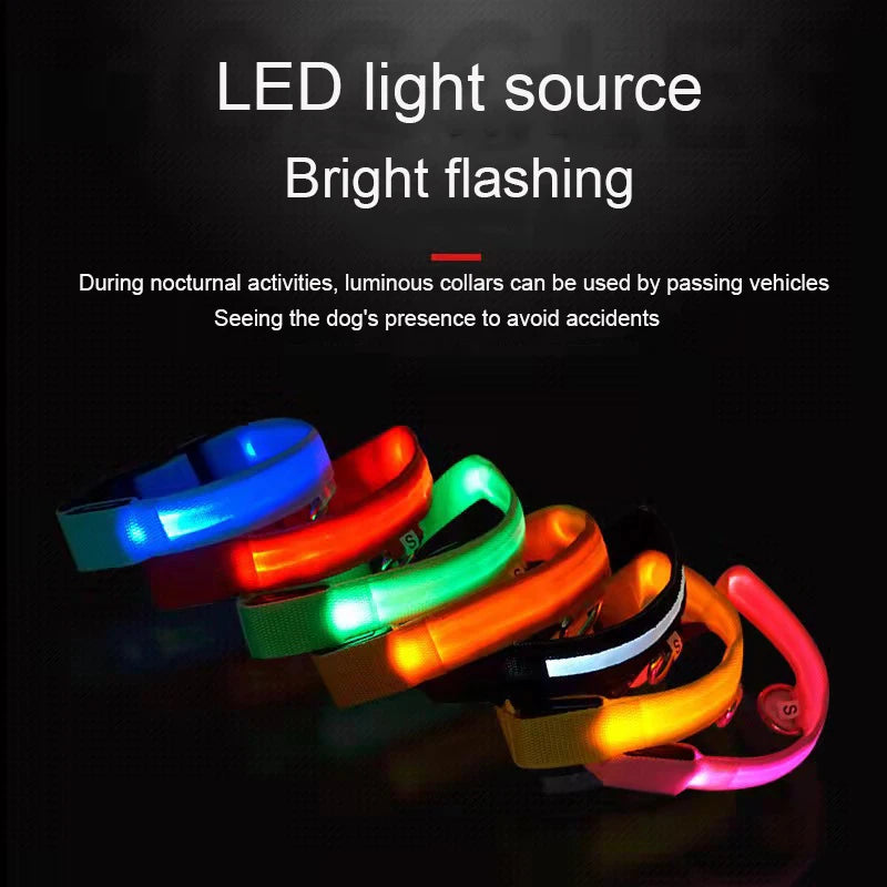 Night Safety Flashing Glow In The Dark Dog Collar