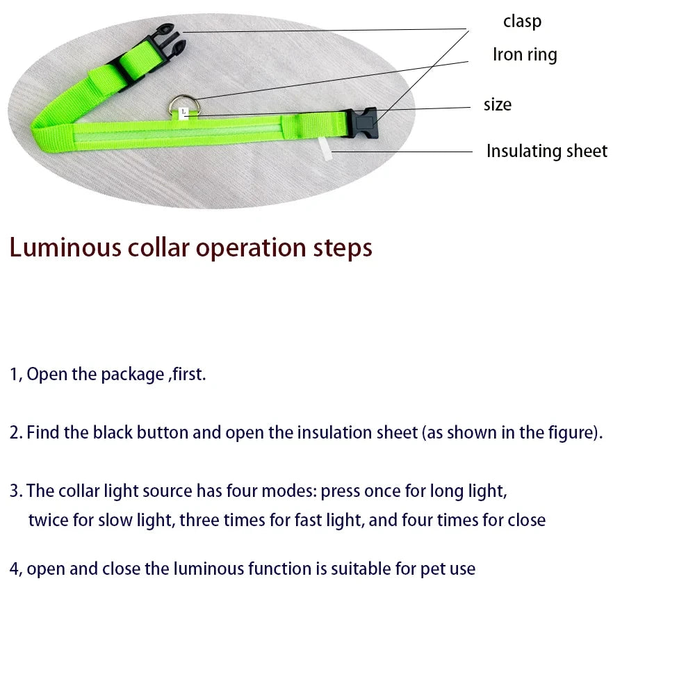 Night Safety Flashing Glow In The Dark Dog Collar