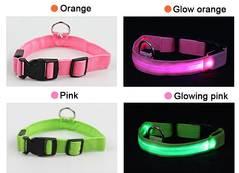 Night Safety Flashing Glow In The Dark Dog Collar